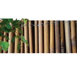 Rohož bambus 1, 5x3