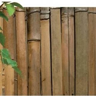 NOHEL GARDEN Rohož bambus štiepaný 1x5m