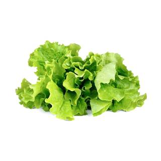 Click and Grow zelený šalát,  kapsule so semienkami a substrátom 3ks