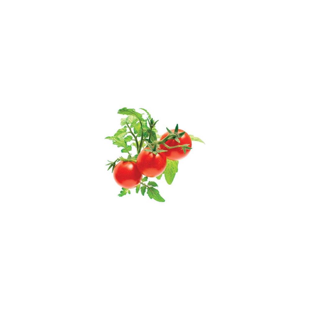 Click and Grow mini rajčiny...